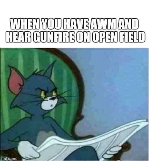 WHEN YOU HAVE AWM AND HEAR GUNFIRE ON OPEN FIELD | image tagged in interrupting tom's read,pubg | made w/ Imgflip meme maker