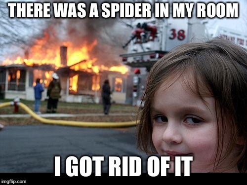 Disaster Girl | THERE WAS A SPIDER IN MY ROOM; I GOT RID OF IT | image tagged in memes,disaster girl | made w/ Imgflip meme maker