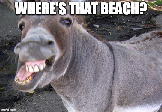 WHERE’S THAT BEACH? | made w/ Imgflip meme maker