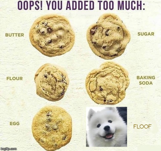 cookie guide but floofer | image tagged in dog | made w/ Imgflip meme maker