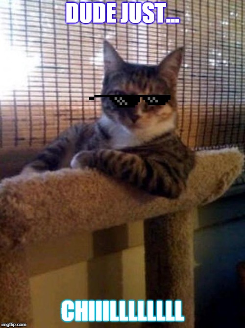 The Most Interesting Cat In The World | DUDE JUST... CHIIILLLLLLLL | image tagged in memes,the most interesting cat in the world | made w/ Imgflip meme maker