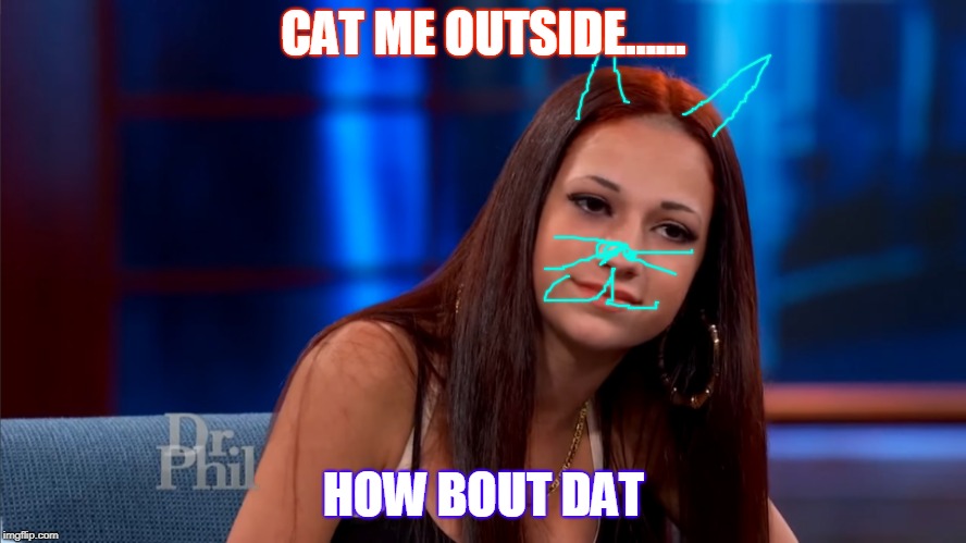 Catch Me Outside | CAT ME OUTSIDE...... HOW BOUT DAT | image tagged in catch me outside | made w/ Imgflip meme maker