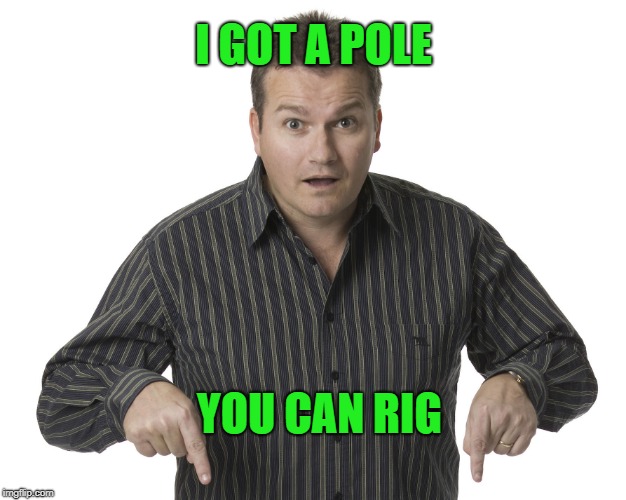 Pointing Down Disbelief | I GOT A POLE YOU CAN RIG | image tagged in pointing down disbelief | made w/ Imgflip meme maker