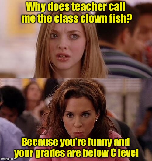 Class Clown Fish | Why does teacher call me the class clown fish? Because you’re funny and your grades are below C level | image tagged in mean girls,clown,bad pun | made w/ Imgflip meme maker