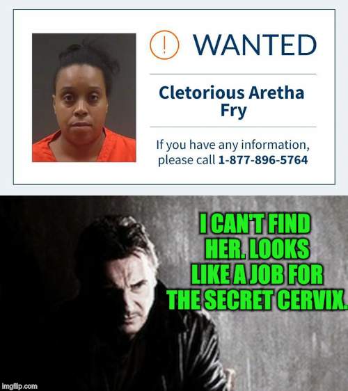 I'm sure she will come out of hiding eventually!  |  I CAN'T FIND HER. LOOKS LIKE A JOB FOR THE SECRET CERVIX. | image tagged in memes,i will find you and kill you,wanted bolo,nixieknox | made w/ Imgflip meme maker