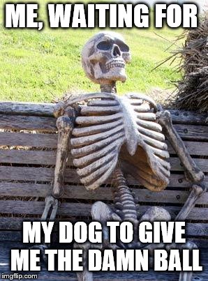 Waiting Skeleton Meme | ME, WAITING FOR; MY DOG TO GIVE ME THE DAMN BALL | image tagged in memes,waiting skeleton | made w/ Imgflip meme maker