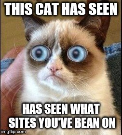 cat has seen some things | THIS CAT HAS SEEN; HAS SEEN WHAT SITES YOU'VE BEAN ON | image tagged in grumpy cat shocked | made w/ Imgflip meme maker