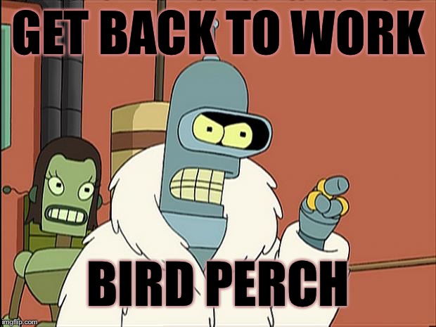 Bendith | GET BACK TO WORK BIRD PERCH | image tagged in bendith | made w/ Imgflip meme maker