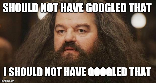 Hagrid | SHOULD NOT HAVE GOOGLED THAT I SHOULD NOT HAVE GOOGLED THAT | image tagged in hagrid | made w/ Imgflip meme maker