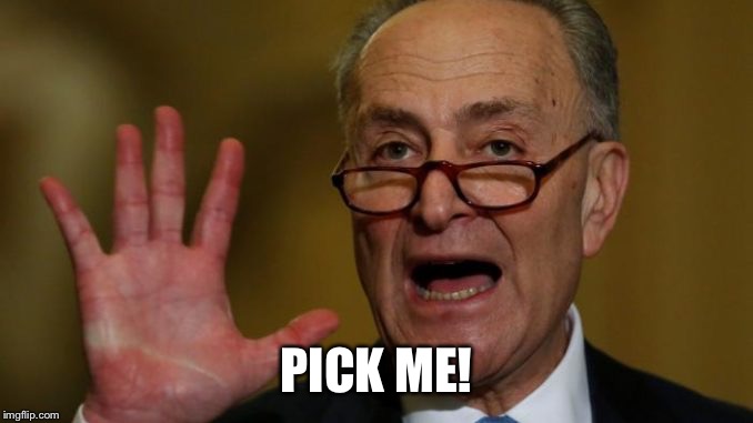 Chuck Schumer | PICK ME! | image tagged in chuck schumer | made w/ Imgflip meme maker