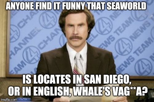 Hmmmm.... | ANYONE FIND IT FUNNY THAT SEAWORLD; IS LOCATES IN SAN DIEGO, OR IN ENGLISH, WHALE'S VAG**A? | image tagged in memes,ron burgundy | made w/ Imgflip meme maker