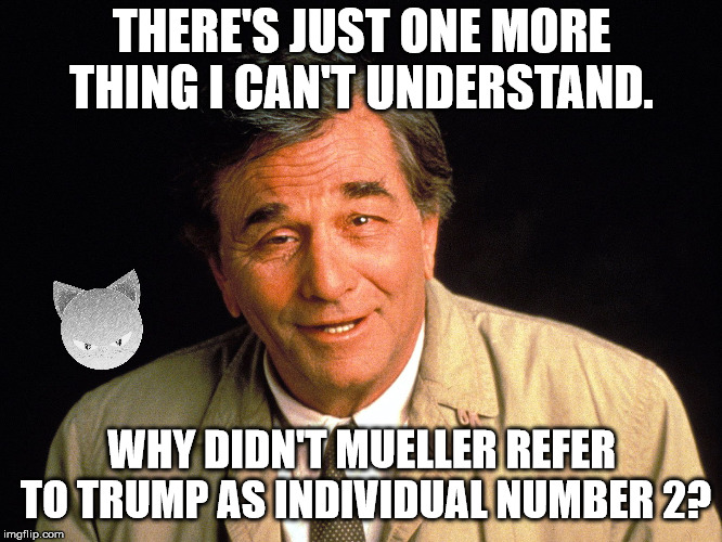 Columbo | THERE'S JUST ONE MORE THING I CAN'T UNDERSTAND. WHY DIDN'T MUELLER REFER TO TRUMP AS INDIVIDUAL NUMBER 2? | image tagged in columbo,mueller | made w/ Imgflip meme maker