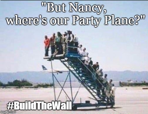 When do they ever work? | "But Nancy, where's our Party Plane?"; #BuildTheWall | image tagged in nancy pelosi,conservatives,politics,funny | made w/ Imgflip meme maker