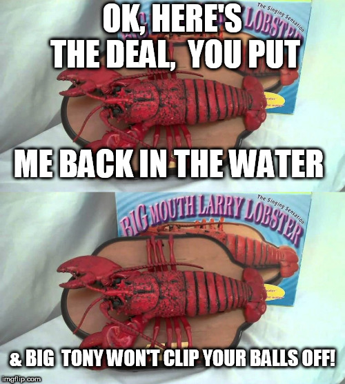 OK, HERE'S THE DEAL,  YOU PUT ME BACK IN THE WATER & BIG  TONY WON'T CLIP YOUR BALLS OFF! | made w/ Imgflip meme maker