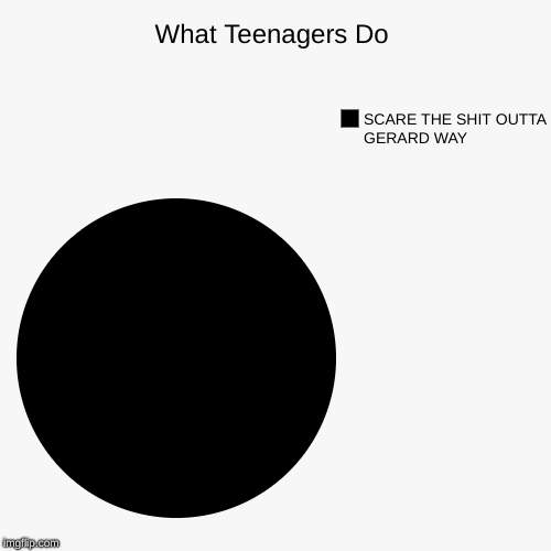 What Teenagers Do | SCARE THE SHIT OUTTA GERARD WAY | image tagged in funny,pie charts | made w/ Imgflip chart maker