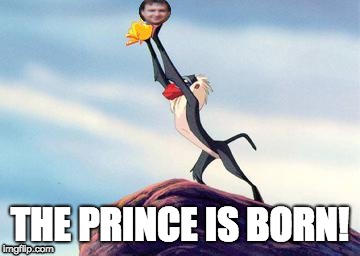 lion king | THE PRINCE IS BORN! | image tagged in lion king | made w/ Imgflip meme maker