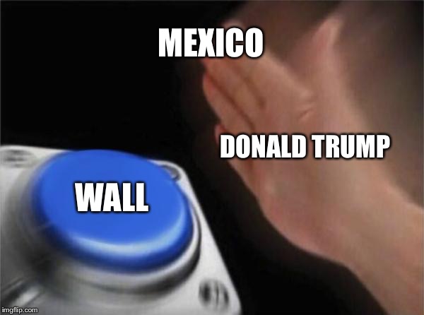 Blank Nut Button Meme | MEXICO; DONALD TRUMP; WALL | image tagged in memes,blank nut button | made w/ Imgflip meme maker