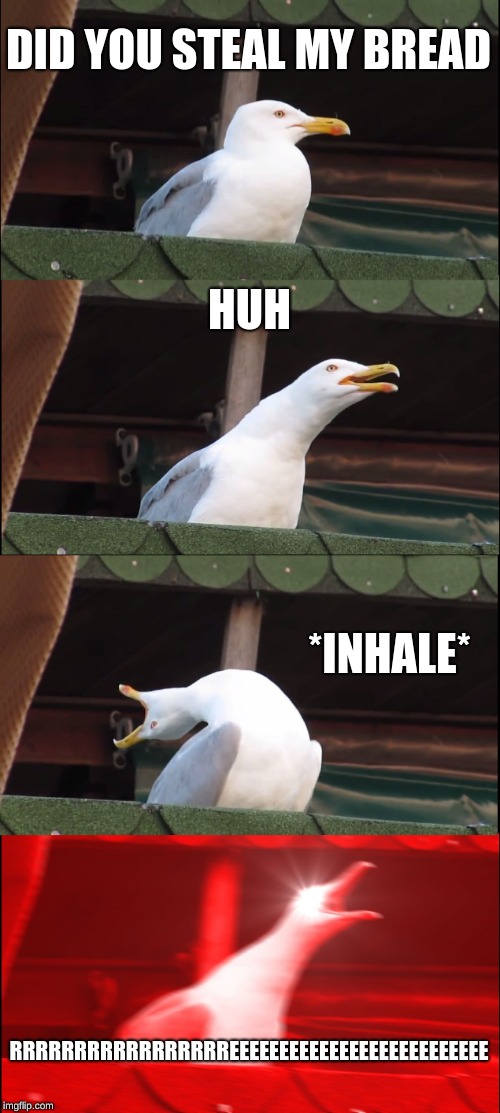 Inhaling Seagull | DID YOU STEAL MY BREAD; HUH; *INHALE*; RRRRRRRRRRRRRRRRREEEEEEEEEEEEEEEEEEEEEEEEEE | image tagged in memes,inhaling seagull | made w/ Imgflip meme maker