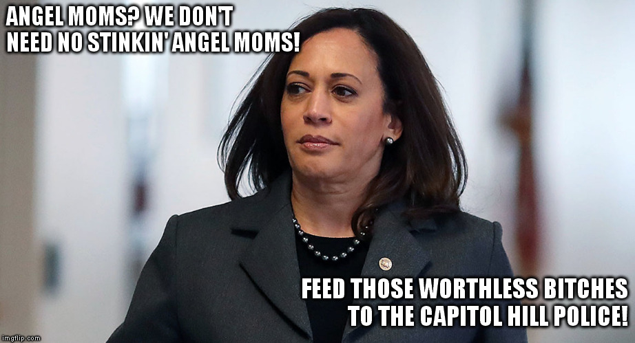 Leftard politician for 2020? | ANGEL MOMS? WE DON'T NEED NO STINKIN' ANGEL MOMS! FEED THOSE WORTHLESS BITCHES TO THE CAPITOL HILL POLICE! | image tagged in angel moms | made w/ Imgflip meme maker