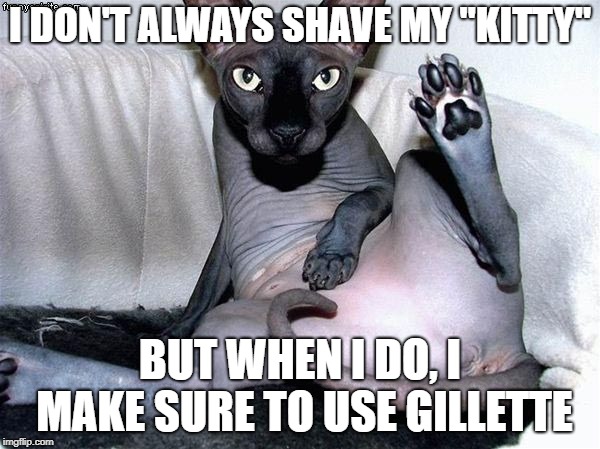 hairless cat spread | I DON'T ALWAYS SHAVE MY "KITTY"; BUT WHEN I DO, I MAKE SURE TO USE GILLETTE | image tagged in hairless cat spread | made w/ Imgflip meme maker
