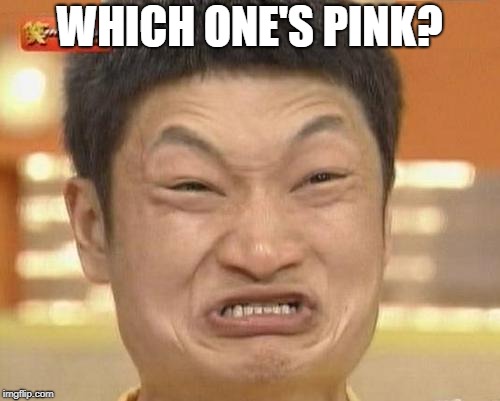 Impossibru Guy Original Meme | WHICH ONE'S PINK? | image tagged in memes,impossibru guy original | made w/ Imgflip meme maker