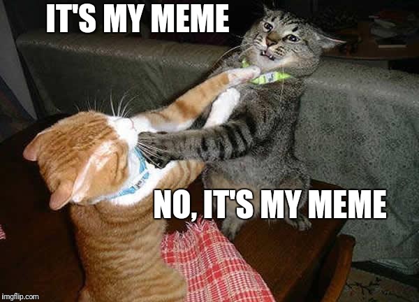 That's my meme.... | IT'S MY MEME; NO, IT'S MY MEME | image tagged in two cats fighting for real,my meme cat fight | made w/ Imgflip meme maker