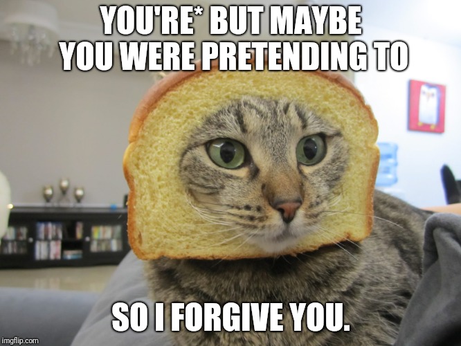 Inbred | YOU'RE* BUT MAYBE YOU WERE PRETENDING TO; SO I FORGIVE YOU. | image tagged in inbred | made w/ Imgflip meme maker