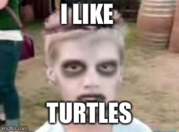 I like turtles | I LIKE; TURTLES | image tagged in i like turtles | made w/ Imgflip meme maker