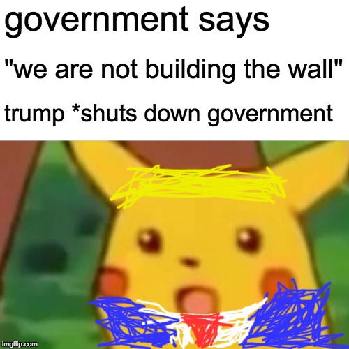 Surprised Pikachu | government says; "we are not building the wall"; trump
*shuts down government | image tagged in memes,surprised pikachu | made w/ Imgflip meme maker