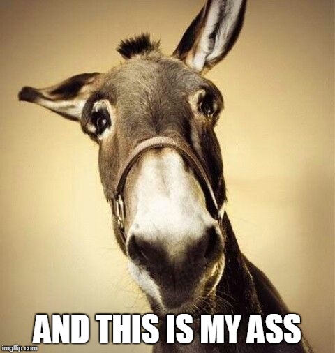 Mule | AND THIS IS MY ASS | image tagged in mule | made w/ Imgflip meme maker