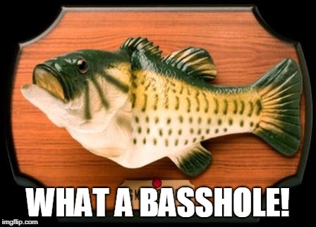 big mouth billy bass | WHAT A BASSHOLE! | image tagged in big mouth billy bass | made w/ Imgflip meme maker