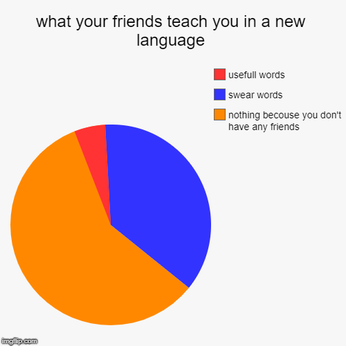 what your friends teach you in a new language | nothing becouse you don't have any friends, swear words, usefull words | image tagged in funny,pie charts | made w/ Imgflip chart maker