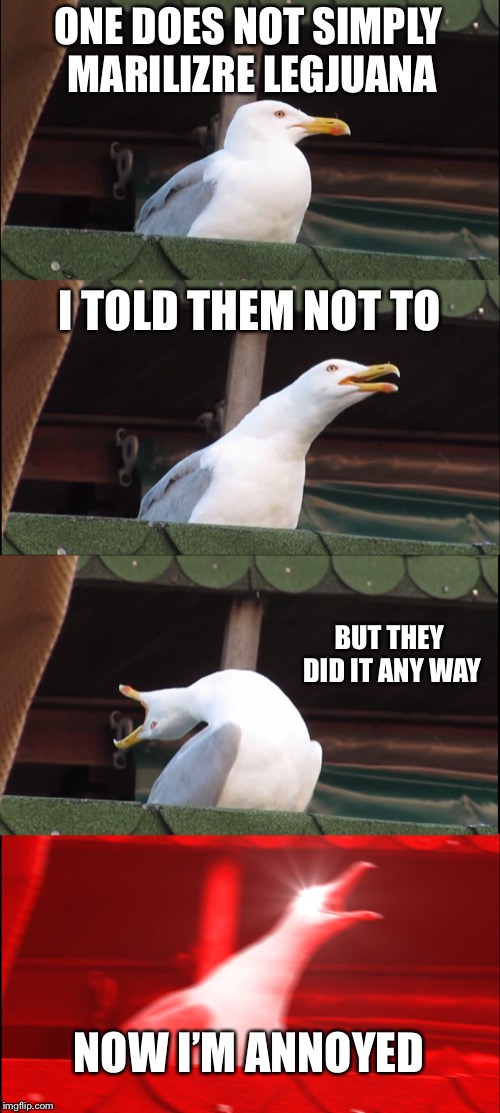 Inhaling Seagull Meme | ONE DOES NOT SIMPLY MARILIZRE LEGJUANA; I TOLD THEM NOT TO; BUT THEY DID IT ANY WAY; NOW I’M ANNOYED | image tagged in memes,inhaling seagull | made w/ Imgflip meme maker