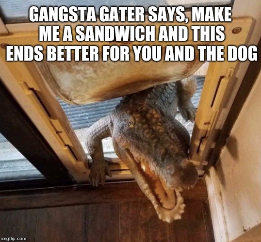 Fast food run | GANGSTA GATER SAYS, MAKE ME A SANDWICH AND THIS ENDS BETTER FOR YOU AND THE DOG | image tagged in fast food run | made w/ Imgflip meme maker