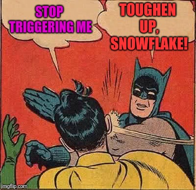Batman Slapping Robin Meme | TOUGHEN UP, SNOWFLAKE! STOP TRIGGERING ME | image tagged in memes,batman slapping robin | made w/ Imgflip meme maker