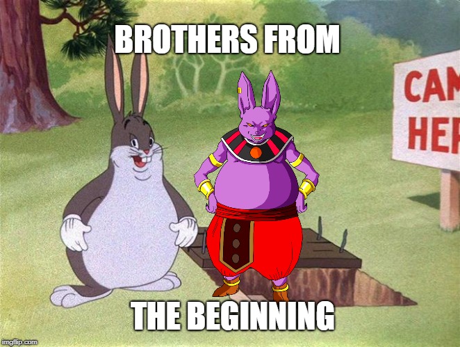 Big Chungus | BROTHERS FROM; THE BEGINNING | image tagged in big chungus | made w/ Imgflip meme maker