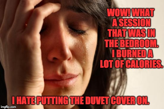 First World Problems | WOW! WHAT A SESSION THAT WAS IN THE BEDROOM.  I BURNED A LOT OF CALORIES. I HATE PUTTING THE DUVET COVER ON. | image tagged in memes,first world problems | made w/ Imgflip meme maker
