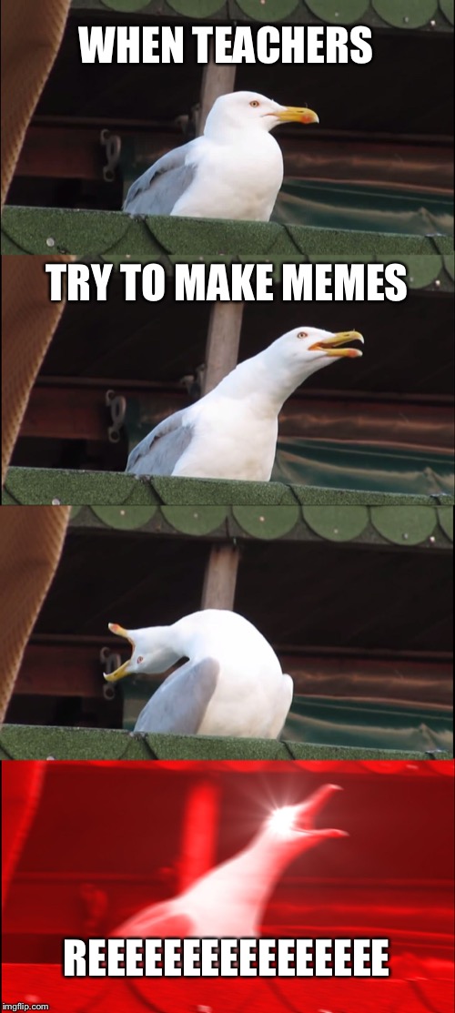 Inhaling Seagull Meme | WHEN TEACHERS; TRY TO MAKE MEMES; REEEEEEEEEEEEEEEE | image tagged in memes,inhaling seagull | made w/ Imgflip meme maker