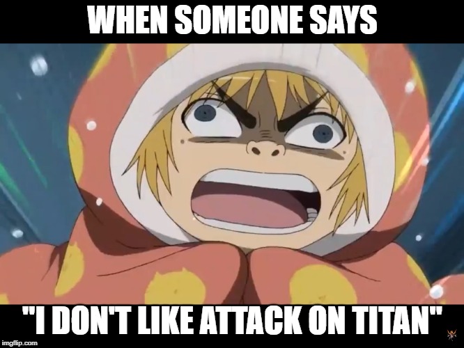 Attack on Titan  | WHEN SOMEONE SAYS; "I DON'T LIKE ATTACK ON TITAN" | image tagged in attack on titan | made w/ Imgflip meme maker