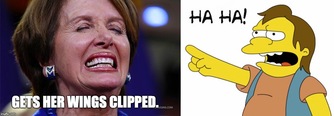 GETS HER WINGS CLIPPED. | image tagged in ha ha,nancy pelosi | made w/ Imgflip meme maker