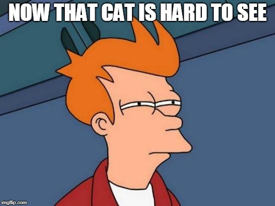 Futurama Fry Meme | NOW THAT CAT IS HARD TO SEE | image tagged in memes,futurama fry | made w/ Imgflip meme maker