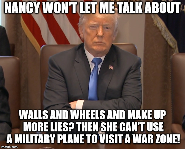 Stubborn Trump | NANCY WON'T LET ME TALK ABOUT; WALLS AND WHEELS AND MAKE UP MORE LIES? THEN SHE CAN'T USE A MILITARY PLANE TO VISIT A WAR ZONE! | image tagged in stubborn trump | made w/ Imgflip meme maker