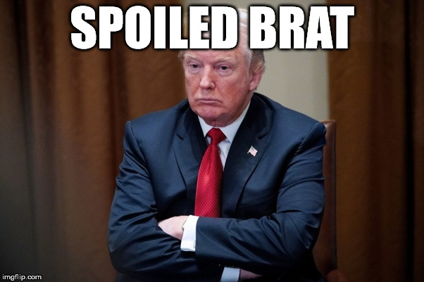 Man Baby Trump | SPOILED BRAT | image tagged in man baby trump | made w/ Imgflip meme maker