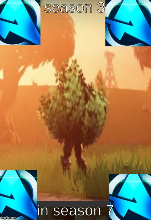 Fortnite bush | season 3; in season 7 | image tagged in fortnite bush | made w/ Imgflip meme maker