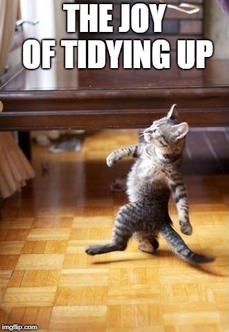 Cool Cat Stroll Meme | THE JOY OF TIDYING UP | image tagged in memes,cool cat stroll | made w/ Imgflip meme maker