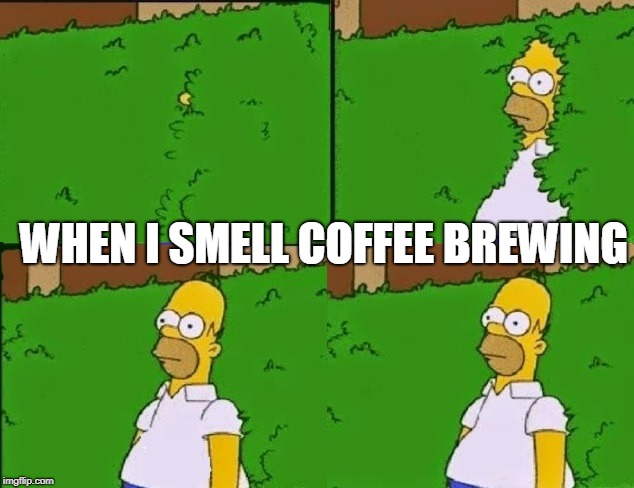 WHEN I SMELL COFFEE BREWING | image tagged in homer coming out from the bushes | made w/ Imgflip meme maker