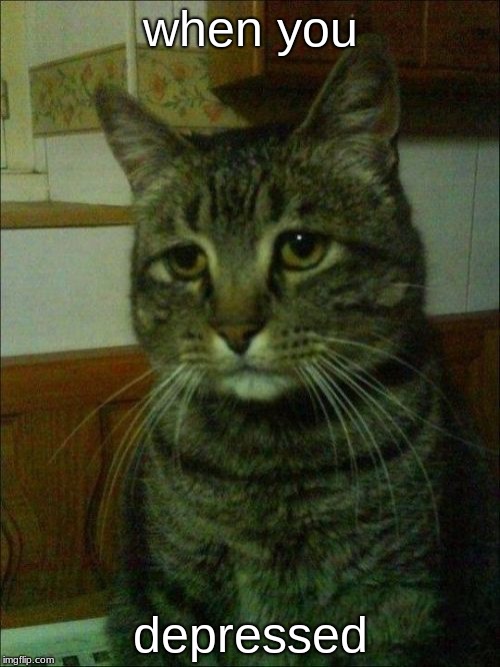 Depressed Cat | when you; depressed | image tagged in memes,depressed cat | made w/ Imgflip meme maker
