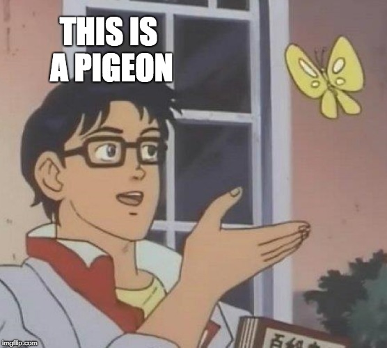 Is This A Pigeon Meme | THIS IS A PIGEON | image tagged in memes,is this a pigeon | made w/ Imgflip meme maker