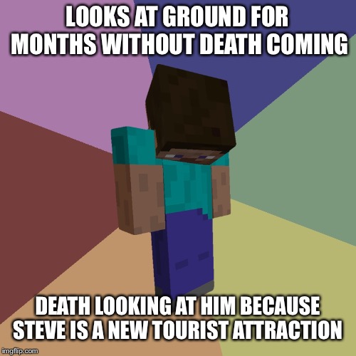 Minecraft Steve | LOOKS AT GROUND FOR MONTHS WITHOUT DEATH COMING; DEATH LOOKING AT HIM BECAUSE STEVE IS A NEW TOURIST ATTRACTION | image tagged in minecraft steve | made w/ Imgflip meme maker