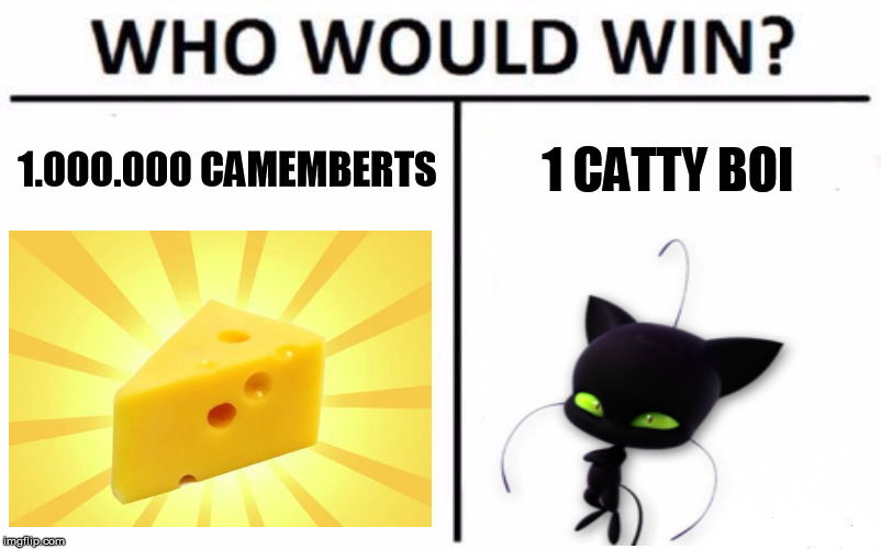 hwo would win plagg | 1.000.000 CAMEMBERTS; 1 CATTY BOI | image tagged in memes,who would win | made w/ Imgflip meme maker